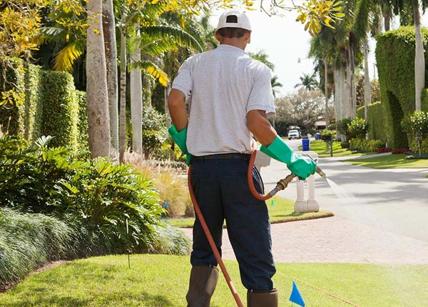 About Pennsville NJ Pest Control Pros